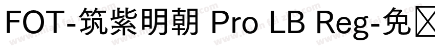 FOT-筑紫明朝 Pro LB Reg字体转换